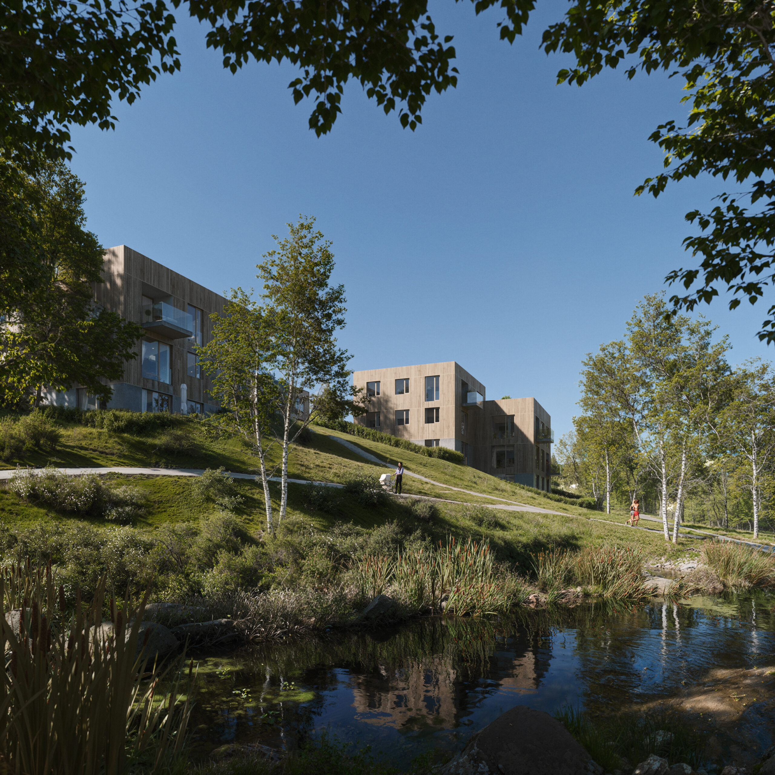 Housing complex, Ricmanice
