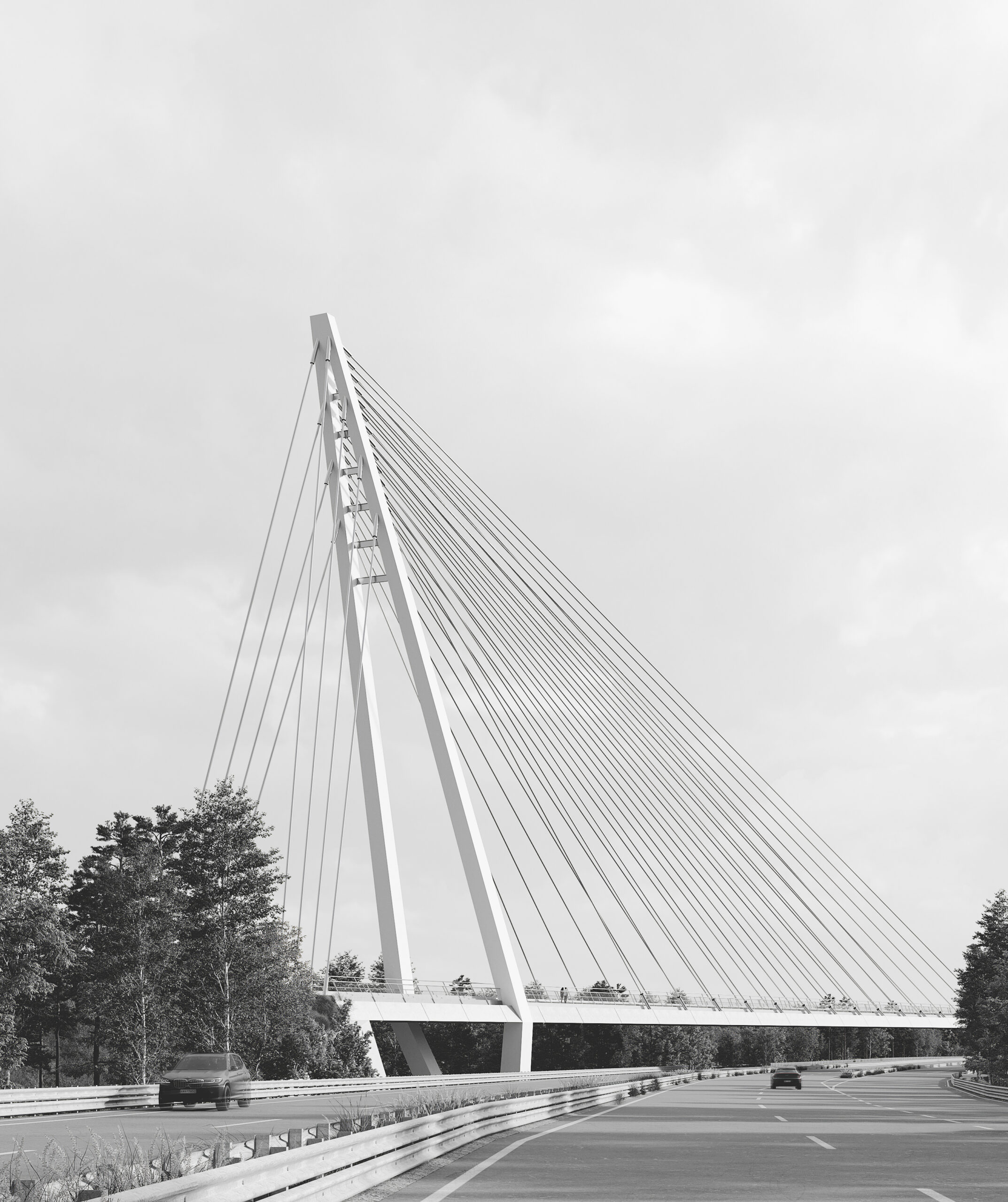 buro_jit_most_bw